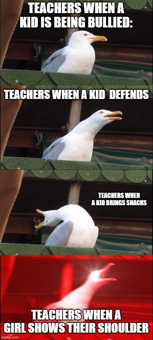 e | TEACHERS WHEN A KID IS BEING BULLIED:; TEACHERS WHEN A KID  DEFENDS; TEACHERS WHEN A KID BRINGS SNACKS; TEACHERS WHEN A GIRL SHOWS THEIR SHOULDER | image tagged in memes,inhaling seagull | made w/ Imgflip meme maker