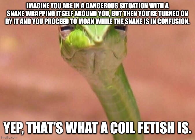 It exists. | IMAGINE YOU ARE IN A DANGEROUS SITUATION WITH A SNAKE WRAPPING ITSELF AROUND YOU, BUT THEN YOU’RE TURNED ON BY IT AND YOU PROCEED TO MOAN WHILE THE SNAKE IS IN CONFUSION. YEP, THAT’S WHAT A COIL FETISH IS. | image tagged in skeptical snake | made w/ Imgflip meme maker