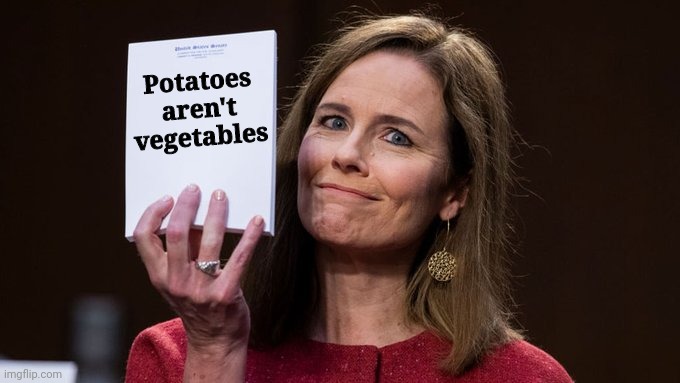 Amy Barrett | Potatoes aren't vegetables | image tagged in amy barrett | made w/ Imgflip meme maker