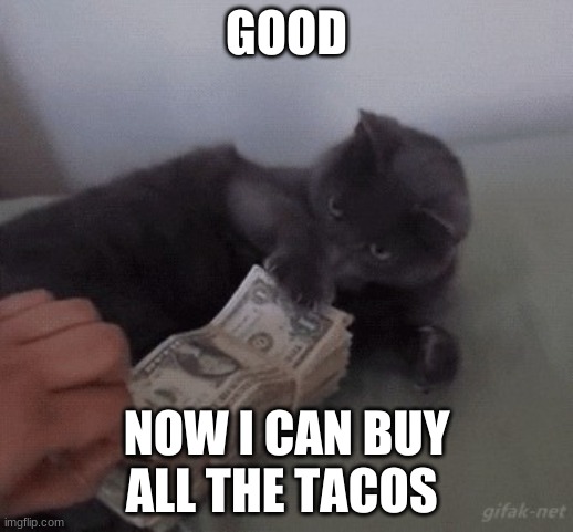 money cat | GOOD; NOW I CAN BUY ALL THE TACOS | image tagged in money cat,tacos,tacos are the answer | made w/ Imgflip meme maker