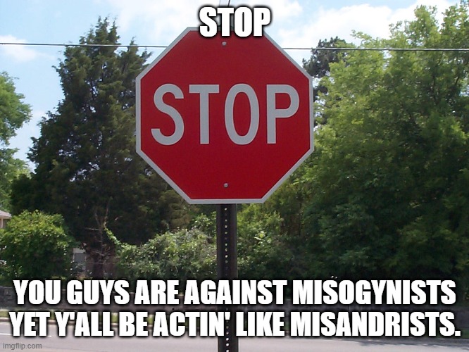 (Mod note: He's kinda right) | STOP; YOU GUYS ARE AGAINST MISOGYNISTS YET Y'ALL BE ACTIN' LIKE MISANDRISTS. | image tagged in stop sign | made w/ Imgflip meme maker