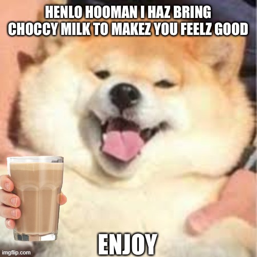 The doggo | HENLO HOOMAN I HAZ BRING CHOCCY MILK TO MAKEZ YOU FEELZ GOOD; ENJOY | image tagged in doggo | made w/ Imgflip meme maker