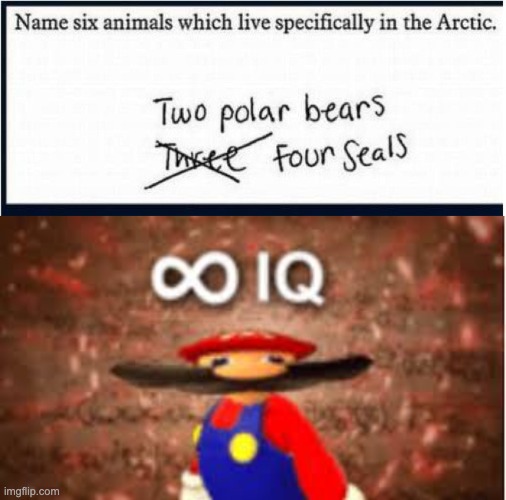 Thought I could bring these infinte iq memes back | image tagged in infinite iq,memes,funny,smort,funny test answers,lol | made w/ Imgflip meme maker