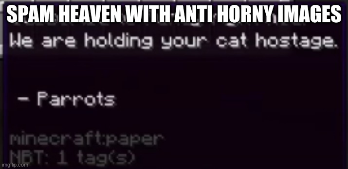 we are holding your cat hostage | SPAM HEAVEN WITH ANTI HORNY IMAGES | image tagged in we are holding your cat hostage | made w/ Imgflip meme maker
