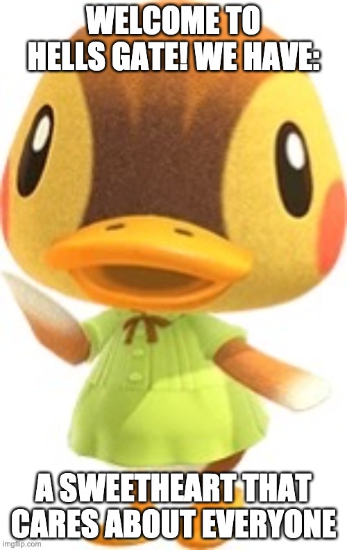 WELCOME TO HELLS GATE! WE HAVE:; A SWEETHEART THAT CARES ABOUT EVERYONE | image tagged in molly,animal crossing,duck | made w/ Imgflip meme maker