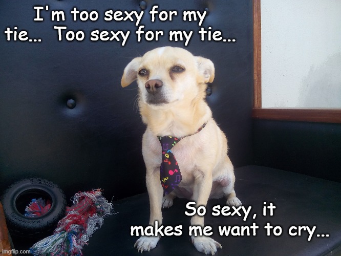 Too sexy for my tie... | I'm too sexy for my tie...  Too sexy for my tie... So sexy, it makes me want to cry... | image tagged in murphy,cry,sexy tie,doodles | made w/ Imgflip meme maker