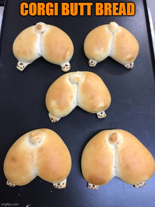 CORGI BUTT BREAD | made w/ Imgflip meme maker