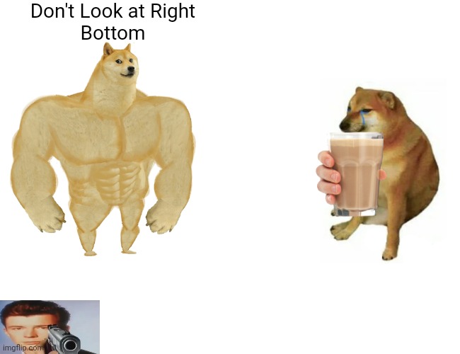 Buff Doge vs. Cheems Meme | Don't Look at Right
Bottom | image tagged in memes,buff doge vs cheems | made w/ Imgflip meme maker