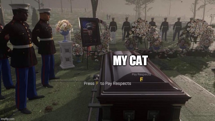 let's take a moment of silence in memory of my cat, who just died today. | MY CAT | image tagged in press f to pay respects | made w/ Imgflip meme maker