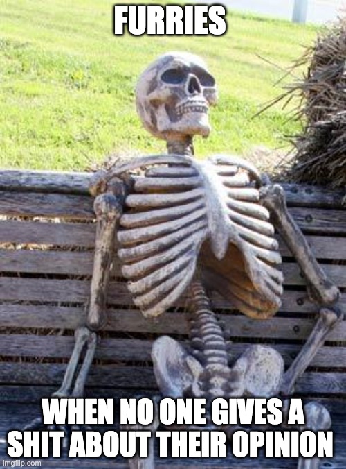 Waiting Skeleton | FURRIES; WHEN NO ONE GIVES A SHIT ABOUT THEIR OPINION | image tagged in memes,waiting skeleton | made w/ Imgflip meme maker