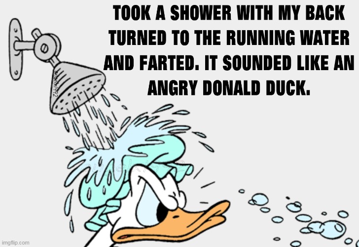 image tagged in donald duck,farts,shower,bathroom,bath,disney | made w/ Imgflip meme maker
