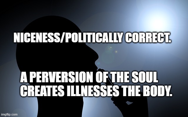Reflection  | NICENESS/POLITICALLY CORRECT. A PERVERSION OF THE SOUL         CREATES ILLNESSES THE BODY. | image tagged in reflection | made w/ Imgflip meme maker