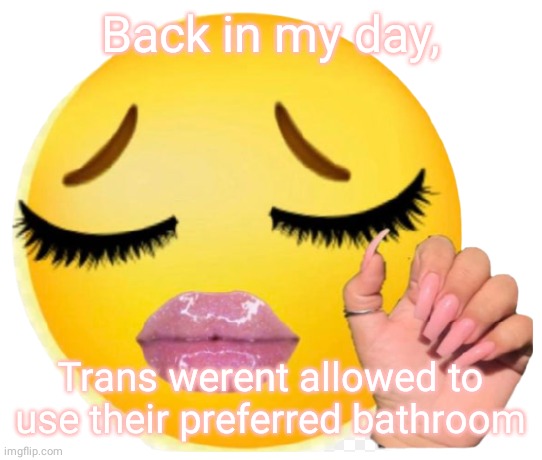 Back in my day | Back in my day, Trans werent allowed to use their preferred bathroom | image tagged in tough times,no cap | made w/ Imgflip meme maker