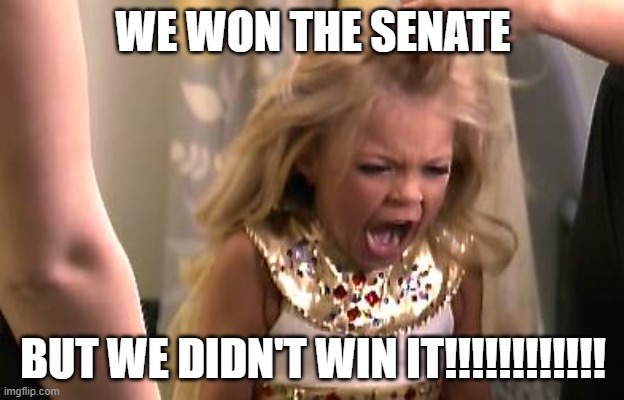 spoiled children | WE WON THE SENATE BUT WE DIDN'T WIN IT!!!!!!!!!!!! | image tagged in spoiled children | made w/ Imgflip meme maker