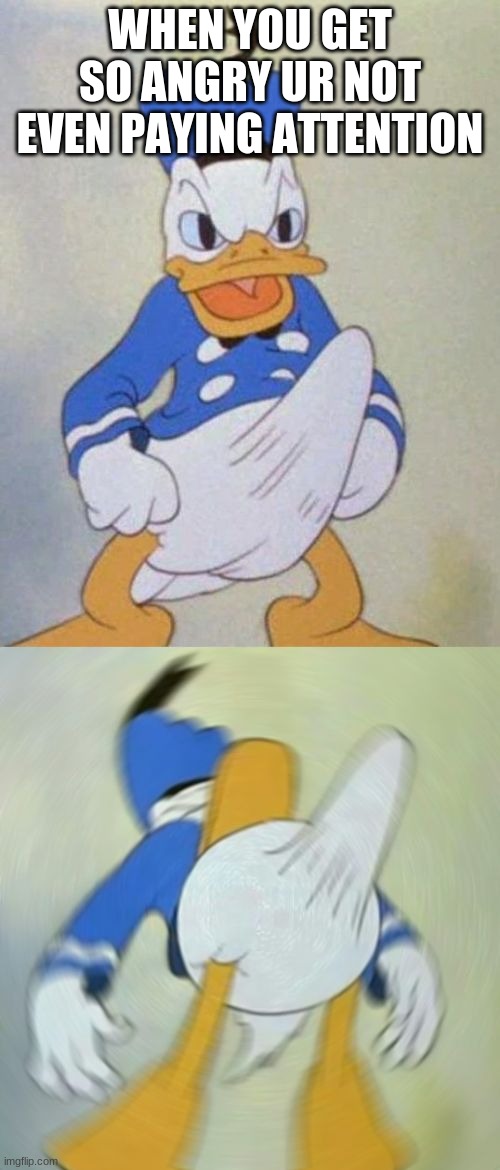 donald duck boner | WHEN YOU GET SO ANGRY UR NOT EVEN PAYING ATTENTION | image tagged in donald duck boner | made w/ Imgflip meme maker