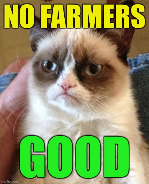 Grumpy Cat Meme | NO FARMERS; GOOD | image tagged in memes,grumpy cat | made w/ Imgflip meme maker