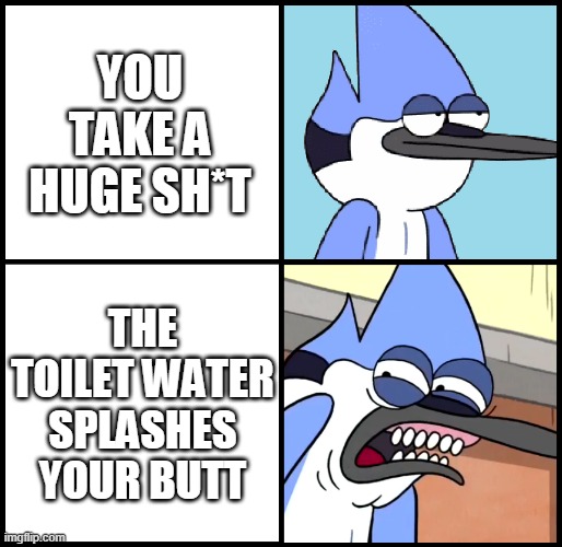 Mordecai disgusted | YOU TAKE A HUGE SH*T; THE TOILET WATER SPLASHES YOUR BUTT | image tagged in mordecai disgusted | made w/ Imgflip meme maker