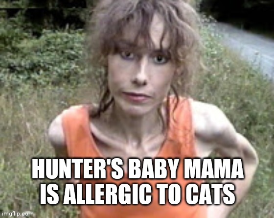 crack whore | HUNTER'S BABY MAMA IS ALLERGIC TO CATS | image tagged in crack whore | made w/ Imgflip meme maker