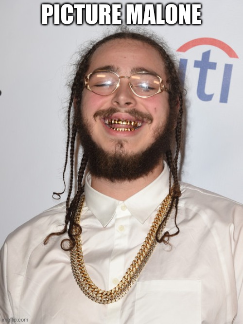 Post Malone | PICTURE MALONE | image tagged in post malone | made w/ Imgflip meme maker