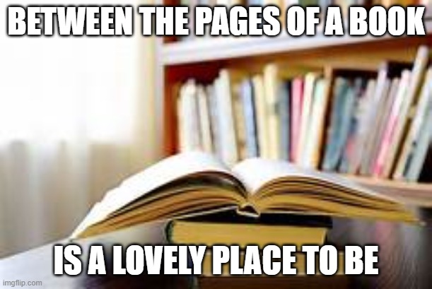 reading motivation | BETWEEN THE PAGES OF A BOOK; IS A LOVELY PLACE TO BE | image tagged in books | made w/ Imgflip meme maker