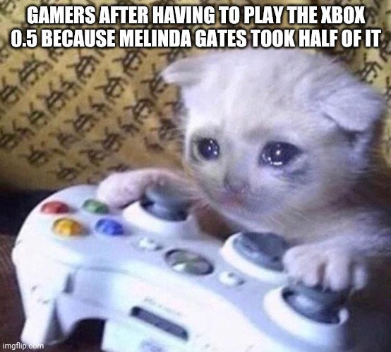 F in the chat for Xbox gamers | GAMERS AFTER HAVING TO PLAY THE XBOX 0.5 BECAUSE MELINDA GATES TOOK HALF OF IT | image tagged in sad gamer cat | made w/ Imgflip meme maker