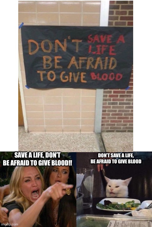 Which one is right? I think it’s the cat | SAVE A LIFE, DON’T BE AFRAID TO GIVE BLOOD!! DON’T SAVE A LIFE, BE AFRAID TO GIVE BLOOD | image tagged in memes,woman yelling at cat,funny memes,cat,blood,donation | made w/ Imgflip meme maker