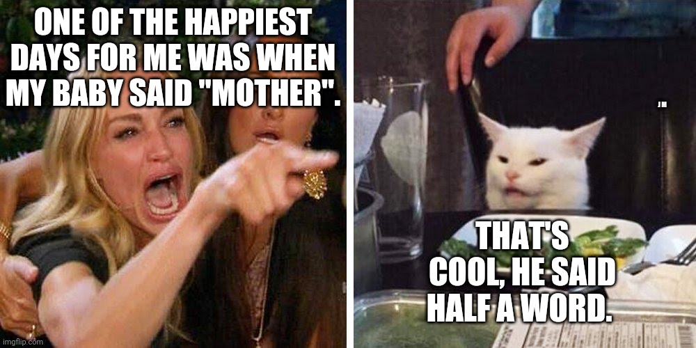 Smudge the cat | ONE OF THE HAPPIEST DAYS FOR ME WAS WHEN MY BABY SAID "MOTHER". J M; THAT'S COOL, HE SAID HALF A WORD. | image tagged in smudge the cat | made w/ Imgflip meme maker