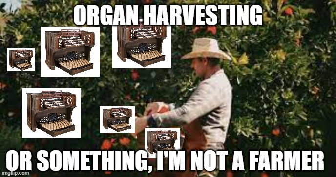 Organ Harvesting | ORGAN HARVESTING; OR SOMETHING, I'M NOT A FARMER | image tagged in organ,harvesting,farmer | made w/ Imgflip meme maker