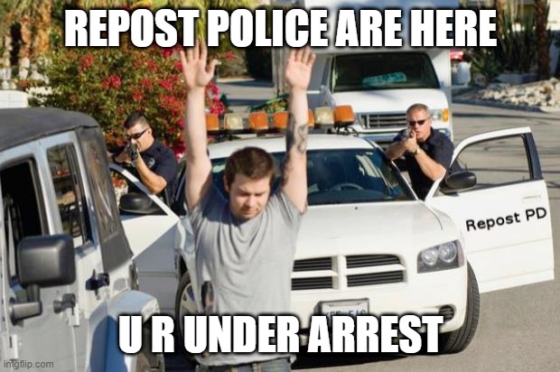 REPOST POLICE ARE HERE U R UNDER ARREST | image tagged in repost police | made w/ Imgflip meme maker
