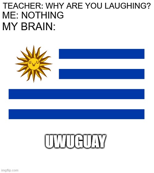 UWUGUAY | TEACHER: WHY ARE YOU LAUGHING? ME: NOTHING; MY BRAIN:; UWUGUAY | image tagged in blank white template,uwu,flag,why are you reading this,my brain,country | made w/ Imgflip meme maker