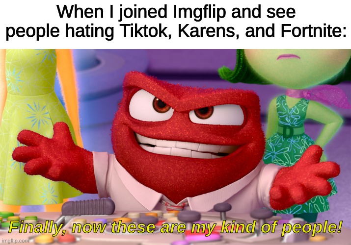 Imgflip has great people! :) | When I joined Imgflip and see people hating Tiktok, Karens, and Fortnite:; Finally, now these are my kind of people! | image tagged in inside out,meme | made w/ Imgflip meme maker