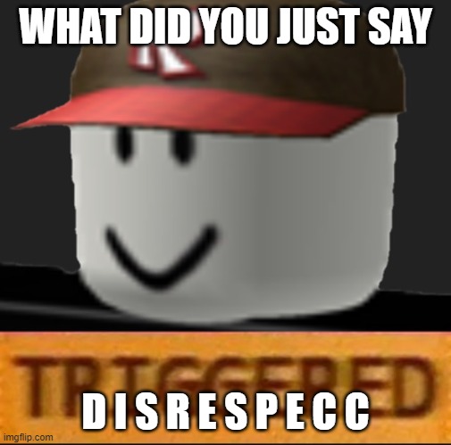 Roblox Triggered | WHAT DID YOU JUST SAY D I S R E S P E C C | image tagged in roblox triggered | made w/ Imgflip meme maker