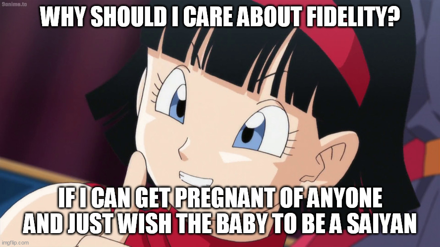 Videl | WHY SHOULD I CARE ABOUT FIDELITY? IF I CAN GET PREGNANT OF ANYONE AND JUST WISH THE BABY TO BE A SAIYAN | image tagged in videl | made w/ Imgflip meme maker