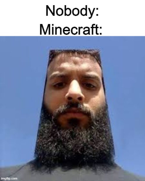 Minecraft:; Nobody: | image tagged in memes,minecraft,nobody,funny,oh wow are you actually reading these tags,imgflip | made w/ Imgflip meme maker