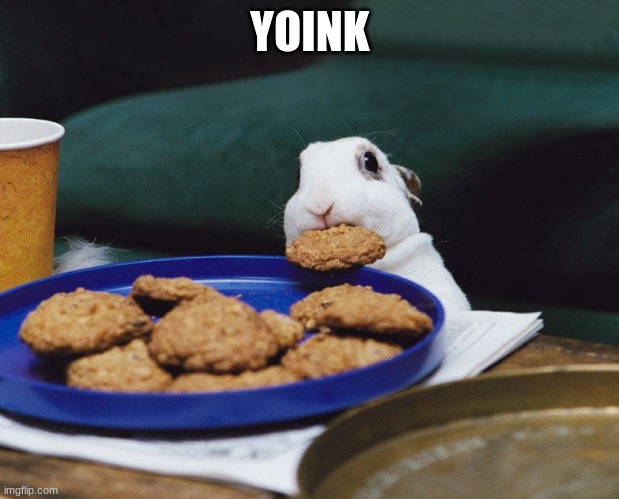 bunny yoink | YOINK | image tagged in bunny yoink | made w/ Imgflip meme maker