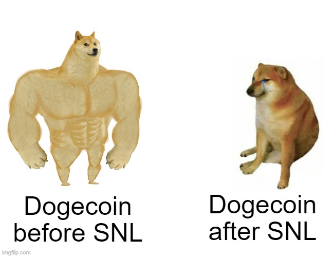 Buff Doge vs. Cheems | Dogecoin before SNL; Dogecoin after SNL | image tagged in memes,buff doge vs cheems,memes | made w/ Imgflip meme maker