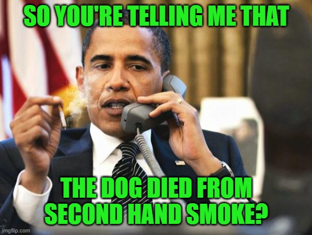 Obama smoking | SO YOU'RE TELLING ME THAT THE DOG DIED FROM SECOND HAND SMOKE? | image tagged in obama smoking | made w/ Imgflip meme maker