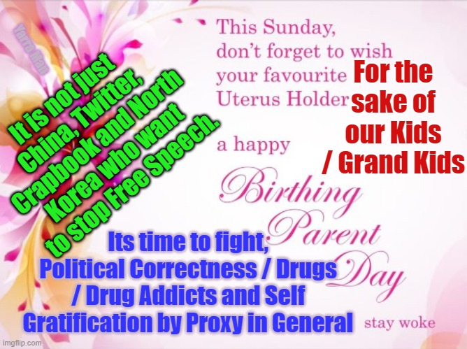 Mothers Day Wokeness Insanity | For the sake of our Kids / Grand Kids; Yarra Man; It is not just China, Twitter, Crapbook and North Korea who want to stop Free Speech. Its time to fight, Political Correctness / Drugs / Drug Addicts and Self Gratification by Proxy in General | image tagged in destroying our own culture | made w/ Imgflip meme maker
