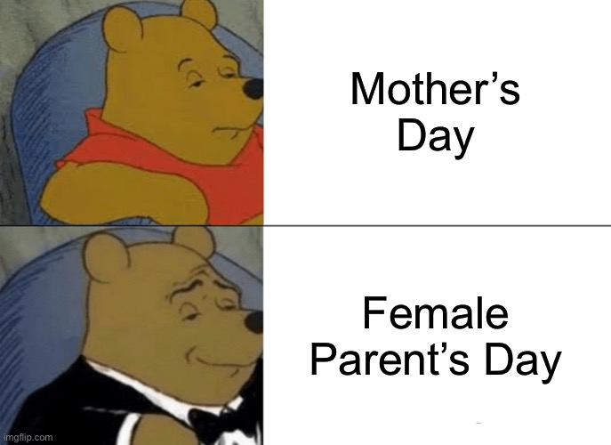 Tuxedo Winnie The Pooh |  Mother’s Day; Female Parent’s Day | image tagged in memes,tuxedo winnie the pooh,happy mothers day,too dank,oh wow are you actually reading these tags | made w/ Imgflip meme maker