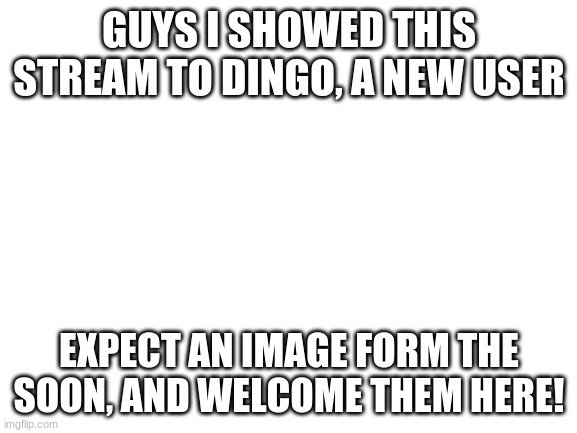 Blank White Template | GUYS I SHOWED THIS STREAM TO DINGO, A NEW USER; EXPECT AN IMAGE FORM THE SOON, AND WELCOME THEM HERE! | image tagged in blank white template | made w/ Imgflip meme maker