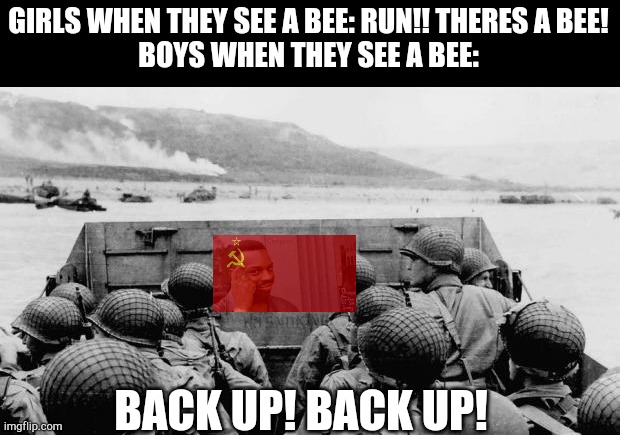 WW2 | GIRLS WHEN THEY SEE A BEE: RUN!! THERES A BEE!
BOYS WHEN THEY SEE A BEE:; BACK UP! BACK UP! | image tagged in ww2 | made w/ Imgflip meme maker