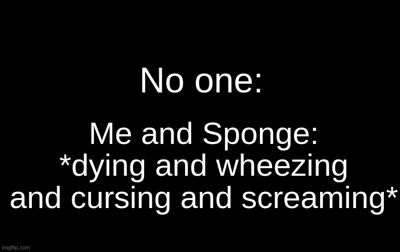 *CHOKING* *WHEEEEEEEEEEEEEEEZE* HAHAHAHAHAHHAUH D7TR78T4R67YGYDUG$%^& | No one:; Me and Sponge: *dying and wheezing and cursing and screaming* | image tagged in black | made w/ Imgflip meme maker