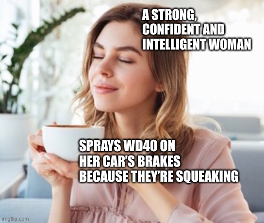 I saw this. Drove right into a ditch. |  A STRONG, CONFIDENT AND INTELLIGENT WOMAN; SPRAYS WD40 ON HER CAR’S BRAKES BECAUSE THEY’RE SQUEAKING | image tagged in women,smart woman,feminist,feminists,feminism | made w/ Imgflip meme maker