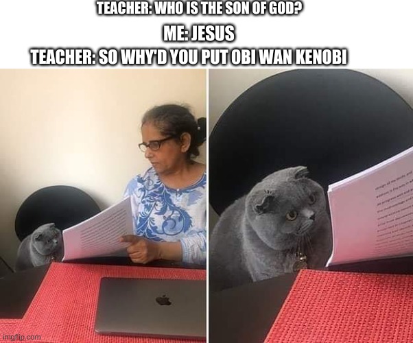 Woman showing paper to cat | TEACHER: WHO IS THE SON OF GOD? ME: JESUS; TEACHER: SO WHY'D YOU PUT OBI WAN KENOBI | image tagged in woman showing paper to cat,obi wan kenobi,jesus,so true,funny | made w/ Imgflip meme maker