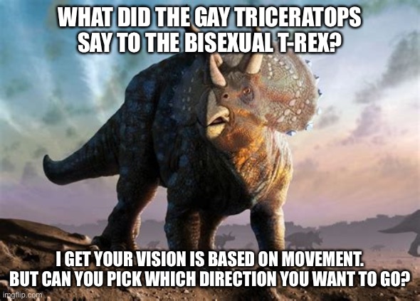 Gay dinosaur joke | WHAT DID THE GAY TRICERATOPS SAY TO THE BISEXUAL T-REX? I GET YOUR VISION IS BASED ON MOVEMENT. BUT CAN YOU PICK WHICH DIRECTION YOU WANT TO GO? | image tagged in triceratops,memes,gay jokes,bad joke,trex,bisexual | made w/ Imgflip meme maker