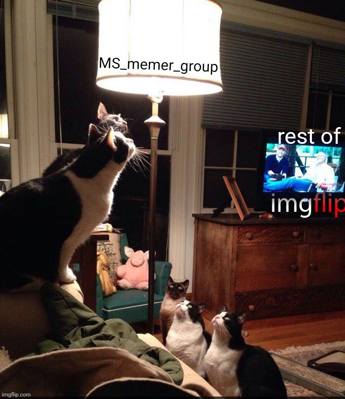 image tagged in laamp | made w/ Imgflip meme maker