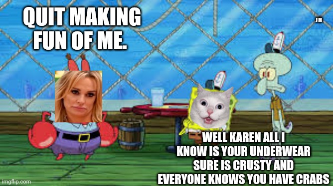 QUIT MAKING FUN OF ME. J M; WELL KAREN ALL I KNOW IS YOUR UNDERWEAR SURE IS CRUSTY AND EVERYONE KNOWS YOU HAVE CRABS | image tagged in smudge the cat | made w/ Imgflip meme maker