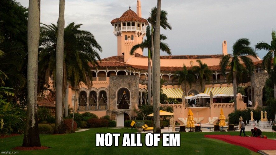 Trump's Mar-A-Lago | NOT ALL OF EM | image tagged in trump's mar-a-lago | made w/ Imgflip meme maker