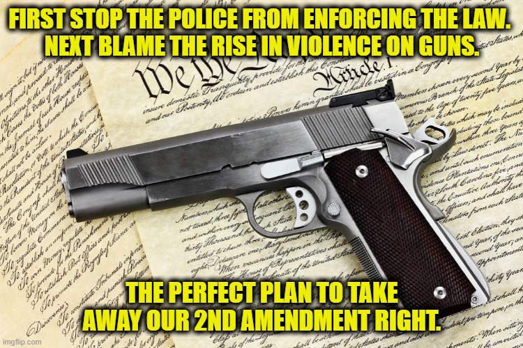 Perfect Plan | FIRST STOP THE POLICE FROM ENFORCING THE LAW. 
NEXT BLAME THE RISE IN VIOLENCE ON GUNS. THE PERFECT PLAN TO TAKE AWAY OUR 2ND AMENDMENT RIGHT. | image tagged in gun control | made w/ Imgflip meme maker