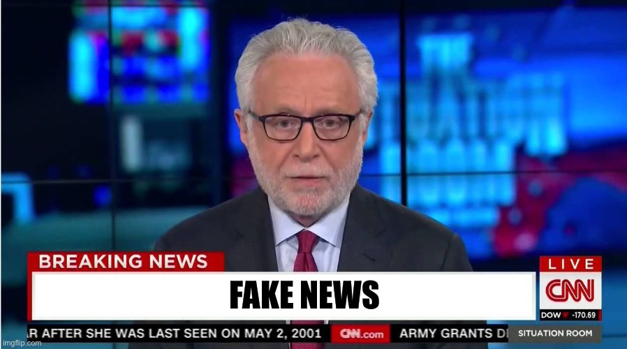 CNN "Wolf of Fake News" Fanfiction | FAKE NEWS | image tagged in cnn wolf of fake news fanfiction | made w/ Imgflip meme maker
